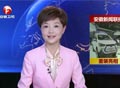 鼎点注册汽车精彩亮相2017上海国际车展